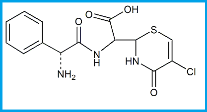 CEFACLOR EP IMPURITY E 